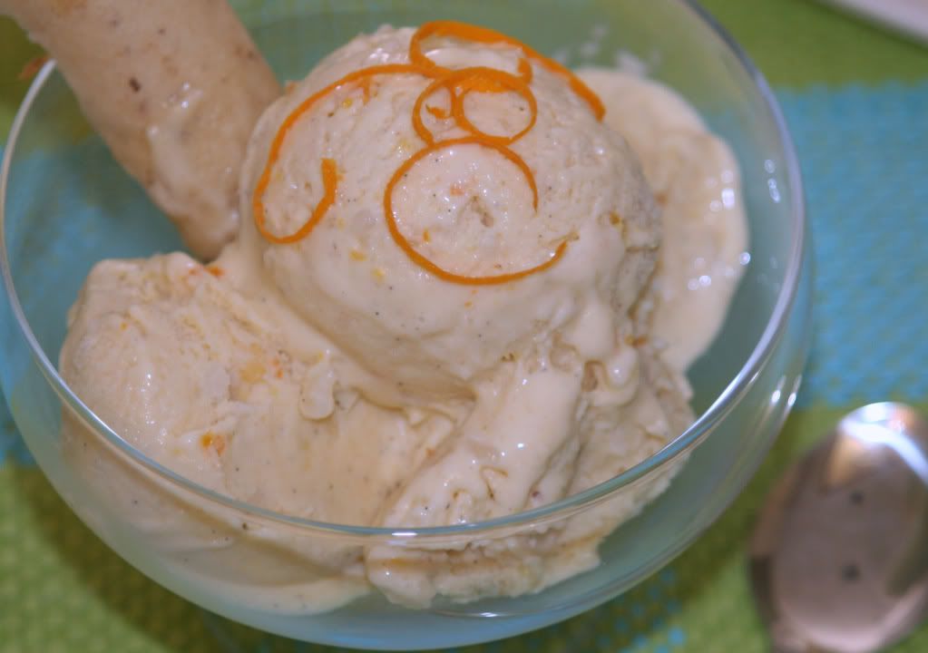 Spice Of Life Gelato di Riso (Rice Gelato), Homemade